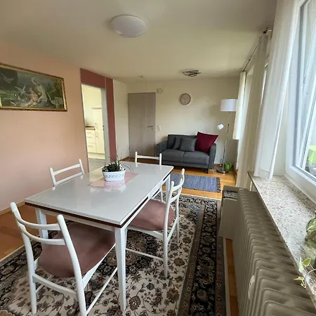 Schoene Wohnung, Bodenseenaehe Apartment