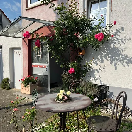 Schoene Wohnung, Bodenseenaehe *