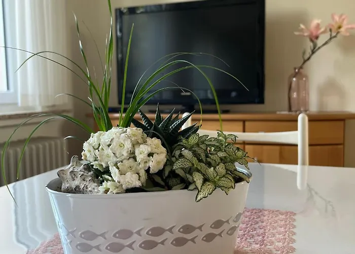 Schoene Wohnung, Bodenseenaehe * Ravensburg